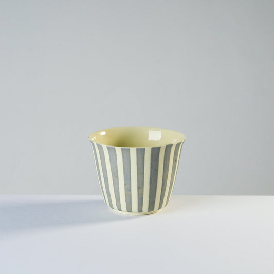 v shape - robin’s egg/stripes