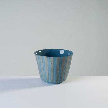 v shape - robin’s egg/stripes