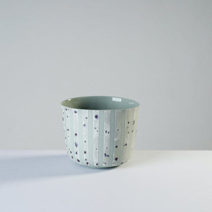 wide - speckled white/stripes