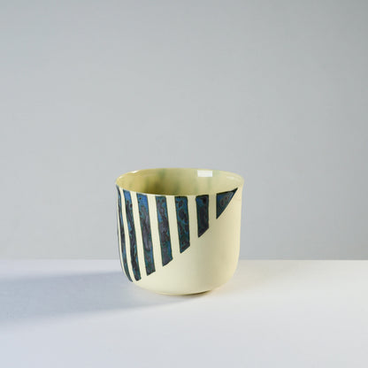 wide - rain forest/ellipse