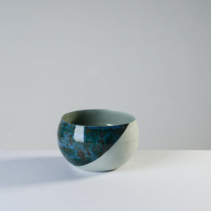 coco - rain forest/curved