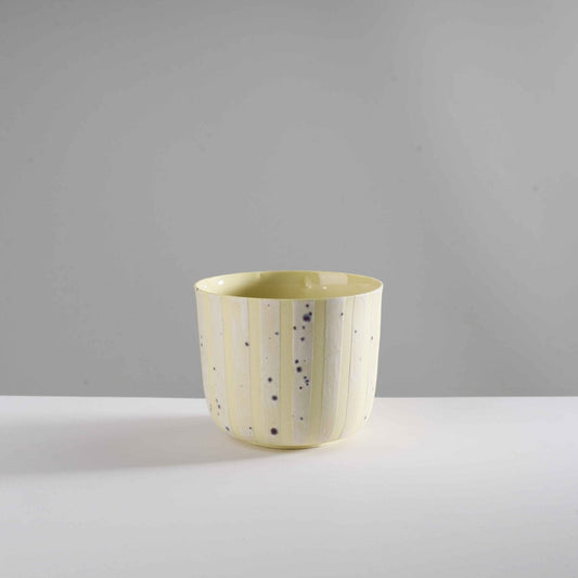 wide - speckled white/stripes