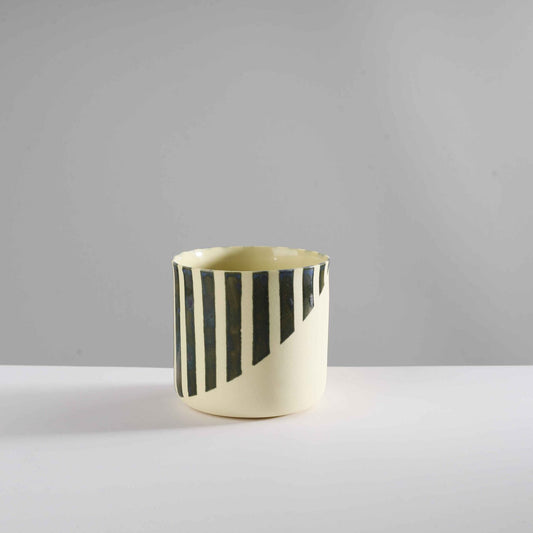 classic - rain forest/ellipse